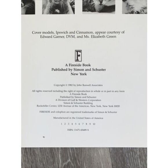 CAT'S CLOSET KITTY CUT UPS CUT OUT WARDROBE BROWN DAVID ELDER FIRESIDE 1982. - Picture 3 of 4